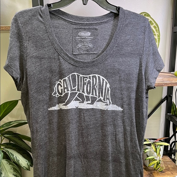 Gray California Bear Graphic Tee - Picture 1 of 5